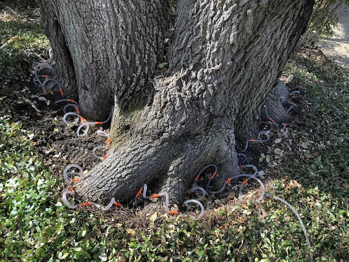 Detailed Shrub and Hedge Trimming job site in Hood